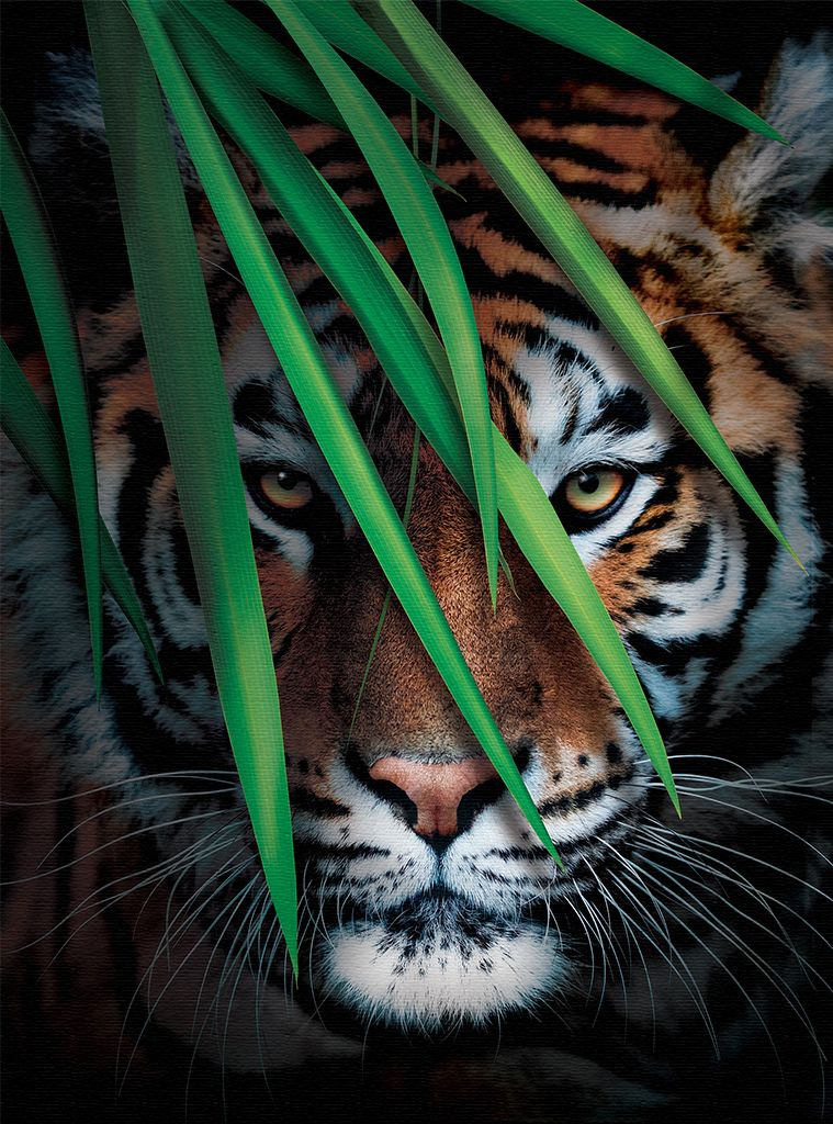 Фотообои Тигр с папоротником